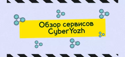 Обзор CyberYozh App: прокси-сервисы, прием смс и курсы по кибербезопасности